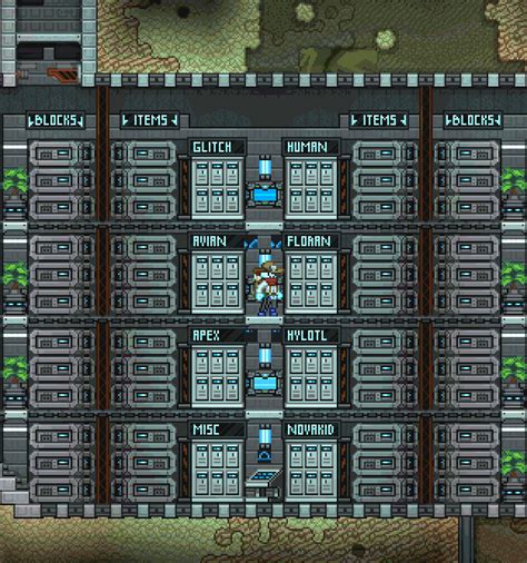 starbound storage guide.